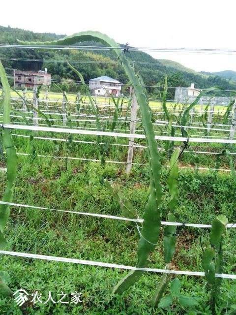 ΢ͼƬ_20180703205505.jpg