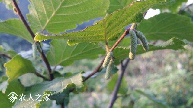 20180630_180200_resized.jpg