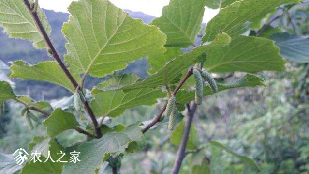 20180630_180350_resized.jpg