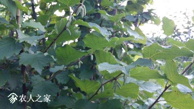20180630_180452_resized.jpg