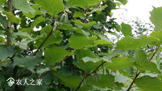 20180702_143717_resized.jpg