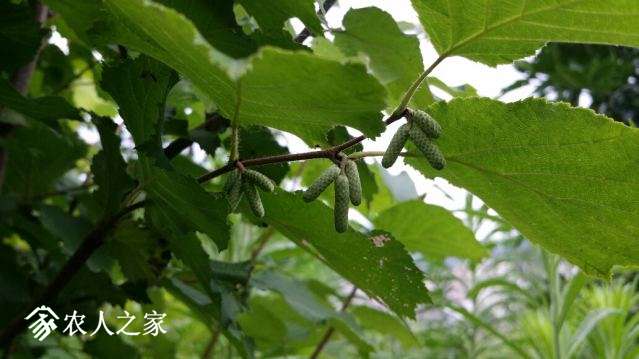 20180702_143733_resized.jpg