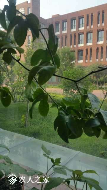 20180705_070908.jpg