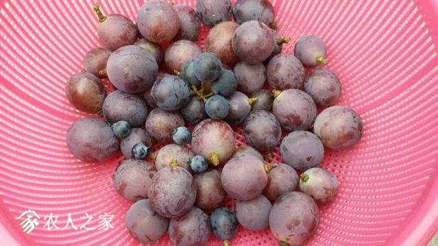 20180707_174012_resized.jpg