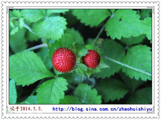 001FrG0ugy6LkfNP3uE90&amp;690.jpg