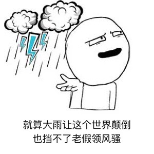 160611vmo0flftitzffhcy.jpg