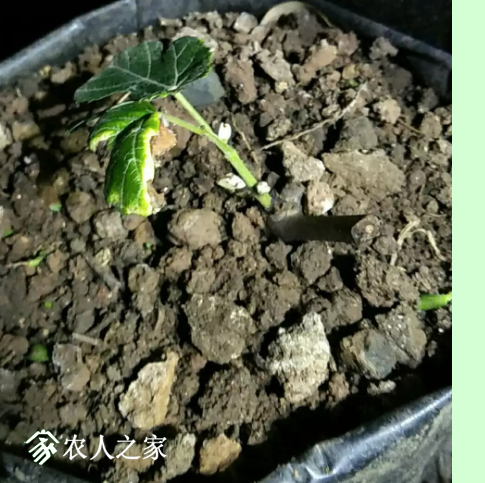 �ոջָ�������������