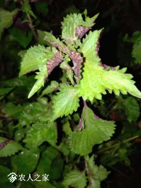 IMG_20180714_013904.jpg
