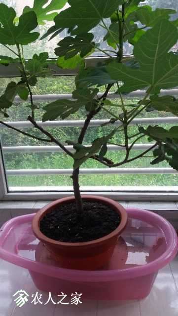 20180702_151907.jpg