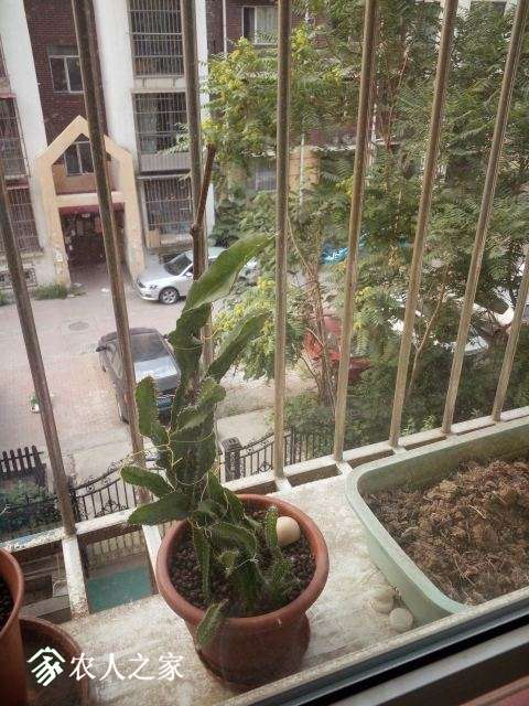 ���� 2��