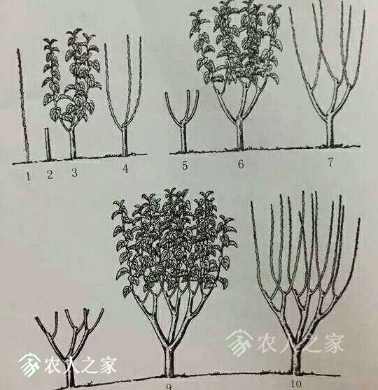 1527116938583523_958.jpg