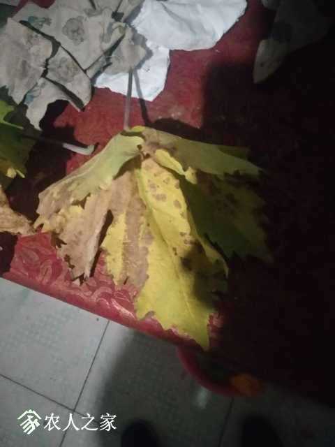 IMG_20180720_211457.jpg