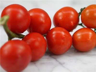 Tomato-Principe-Borghese-IMG_3365-(1).jpg