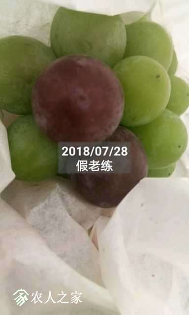 TimePhoto_20180728_190753.jpg