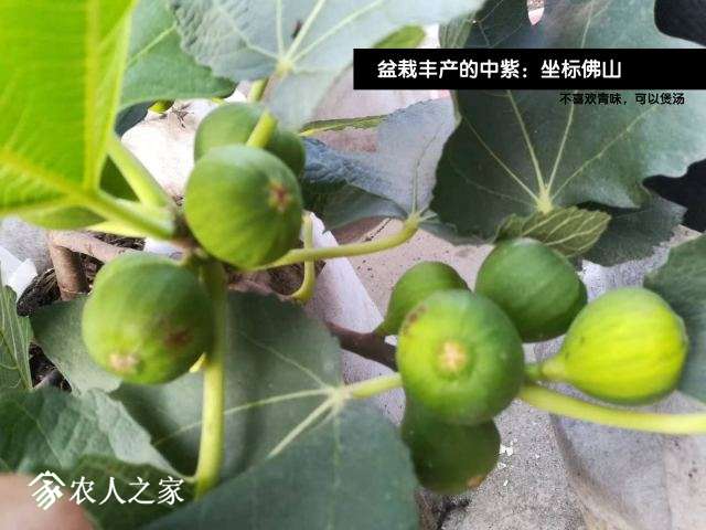 ΢ͼƬ_20180729070711.jpg