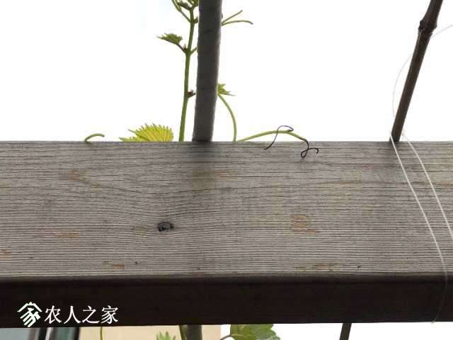 6DF134CC-72AE-47F6-95A0-E3A6281940A5.jpeg
