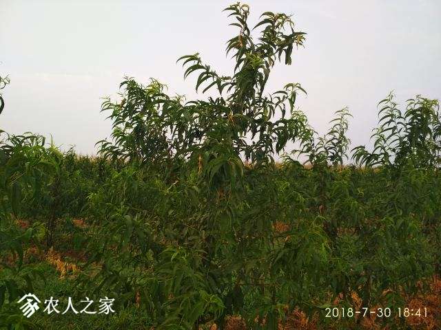 ΢ͼƬ_20180807170045.jpg