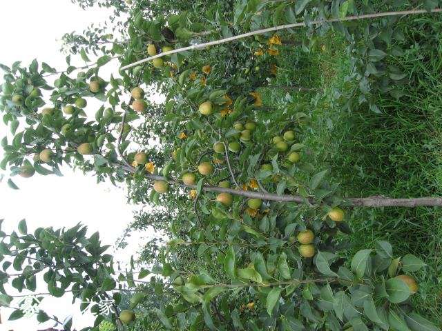 IMG_1314.JPG