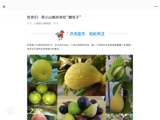 9AFF7D4A-F0AE-4AC7-9174-B4900D36D504.png
