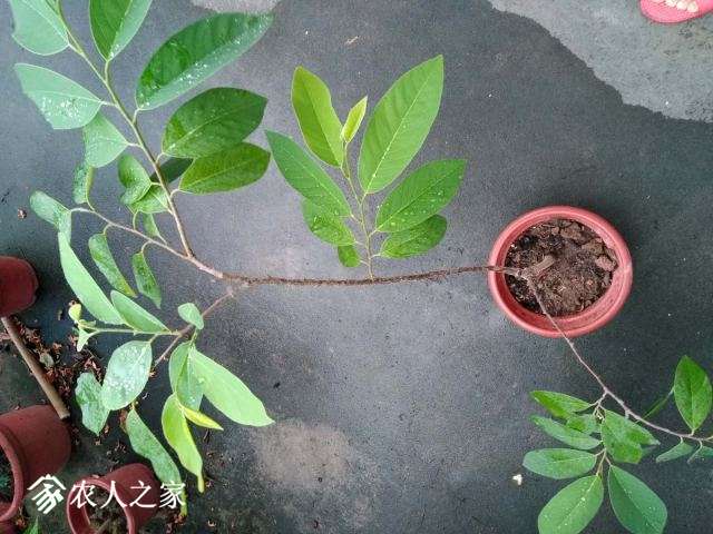 ΢ͼƬ_20180815124814.jpg