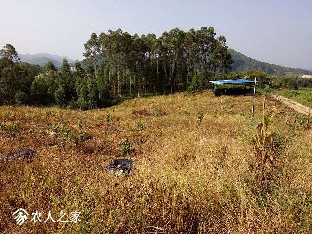 img002.jpg