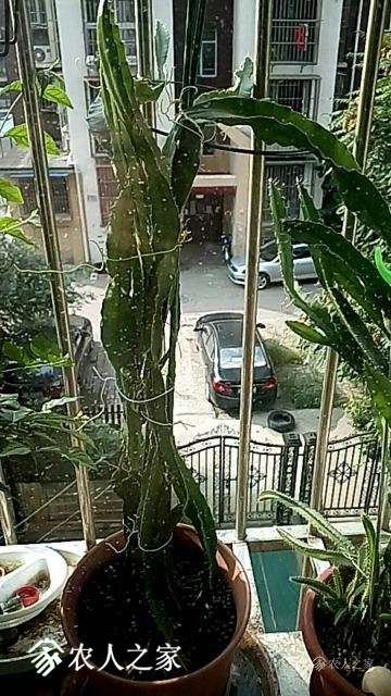 �����ֵ�3��