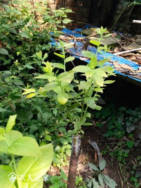 20180519_155244.jpg