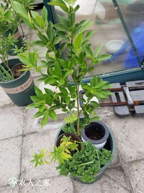 20180821_162756.jpg