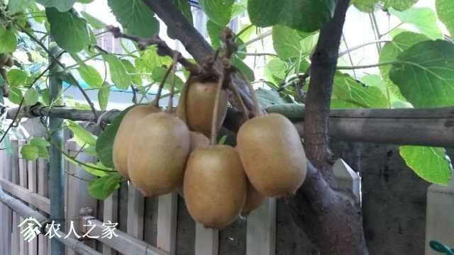 20180822_174702.jpg
