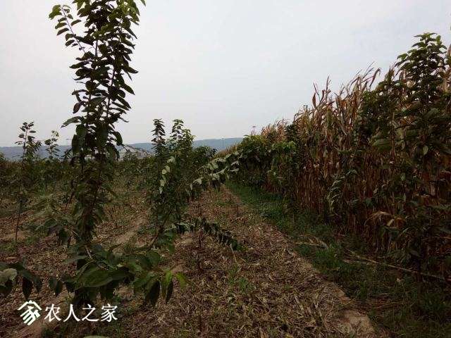 ΢ͼƬ_20180827123323.jpg