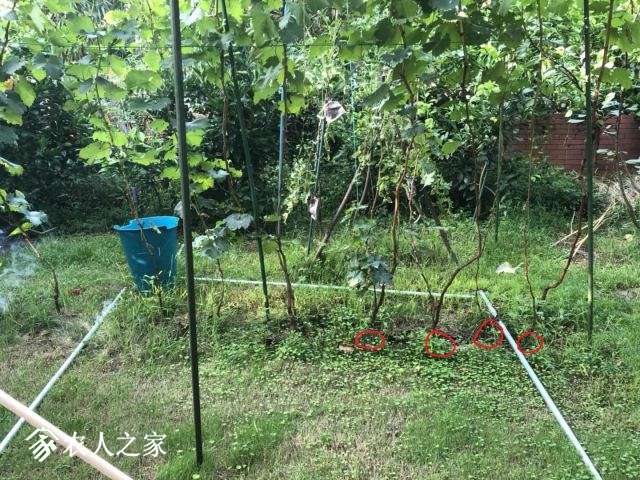 ΢ͼƬ_20180828083402.jpg