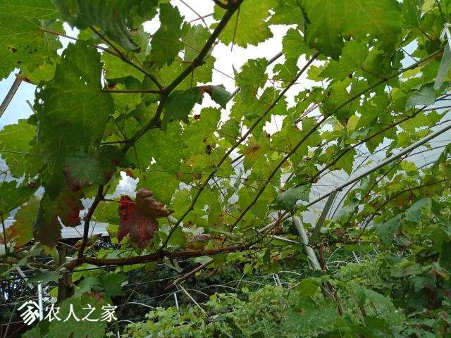 2�·��ֵ�8��1���յ�