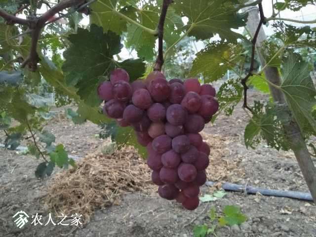 IMG20180901174937.jpg