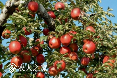 ǧٵһѵζ.png