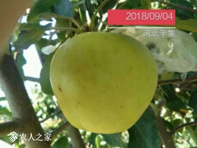 IMG_20180904_083803.jpg