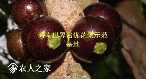 ΢ͼƬ_20180904172735.jpg