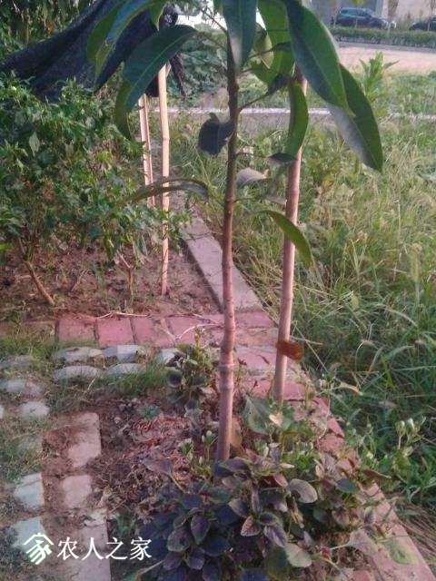 ΢ͼƬ_20180904203456.jpg
