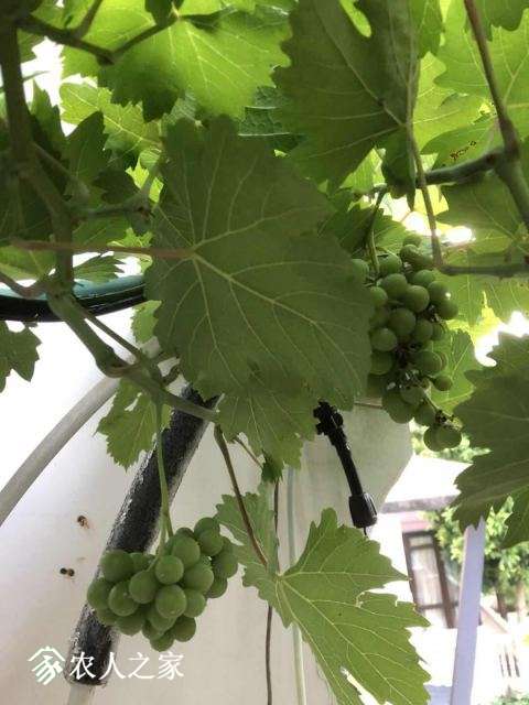 ΢ͼƬ_20180905072850.jpg