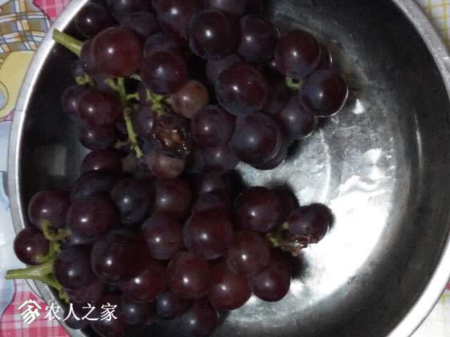 IMG_20180905_183738.jpg