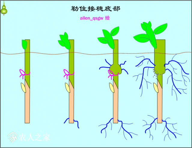 ½ Microsoft Visio ͼ (2).png