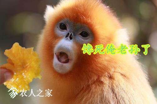 u=1572439038,3580473008&amp;fm=26&amp;gp=0_����.jpg