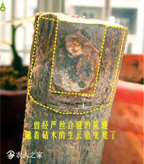 �½� Microsoft Visio ��ͼ (2).jpg