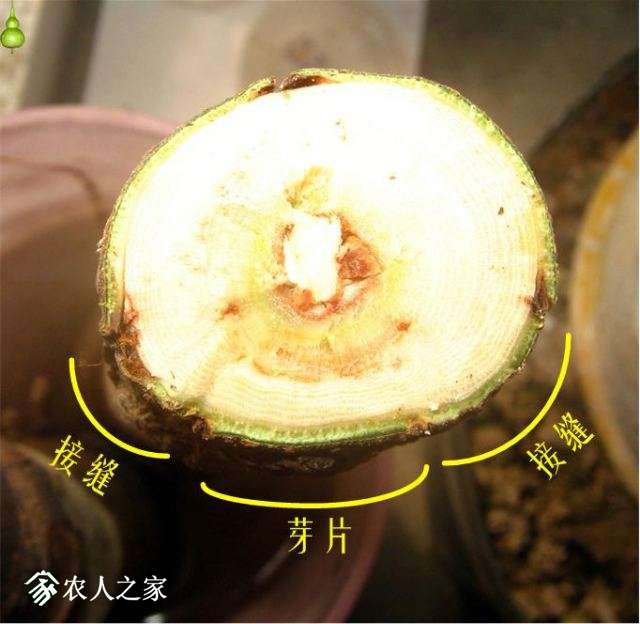 �½� Microsoft Visio ��ͼ (3).jpg