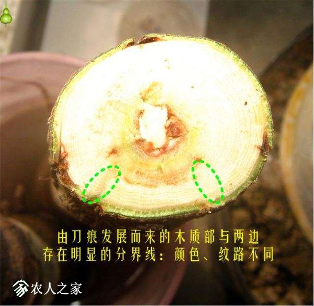 �½� Microsoft Visio ��ͼ (4).jpg