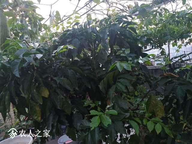 IMG_20180913_181948.jpg