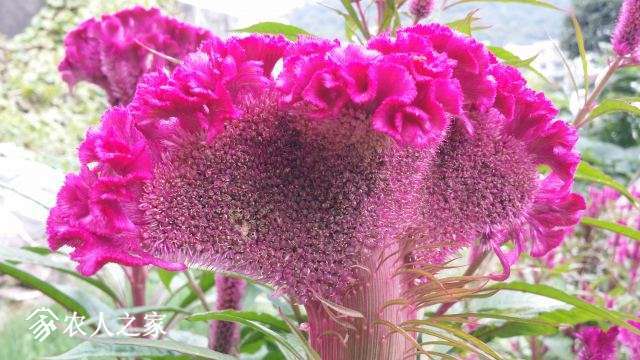 20150920_132705.jpg