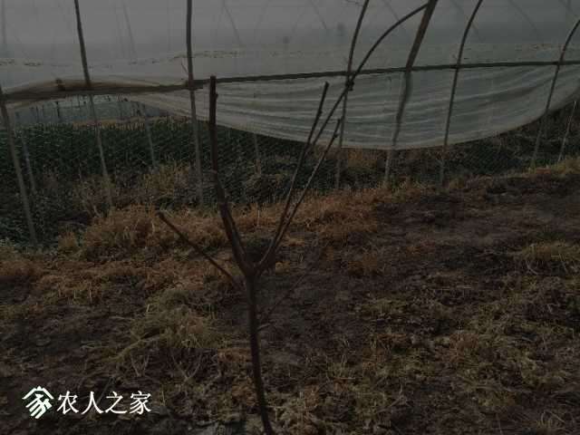 IMG20180418081319.jpg