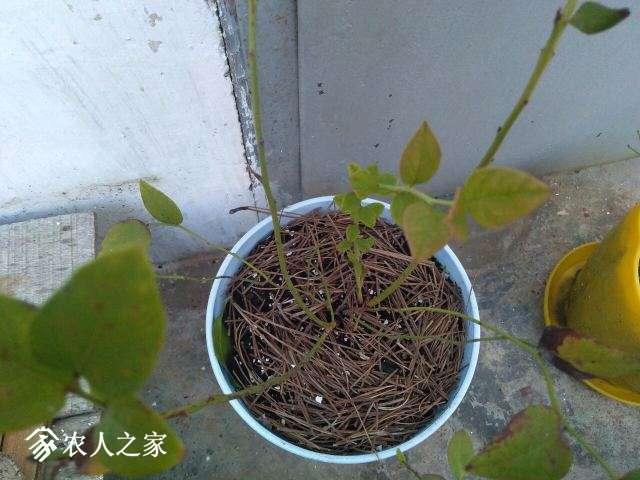 QQͼƬ20180919134145.jpg