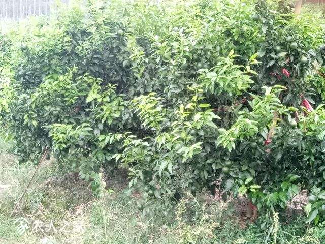 ΢ͼƬ_20180927103127.jpg