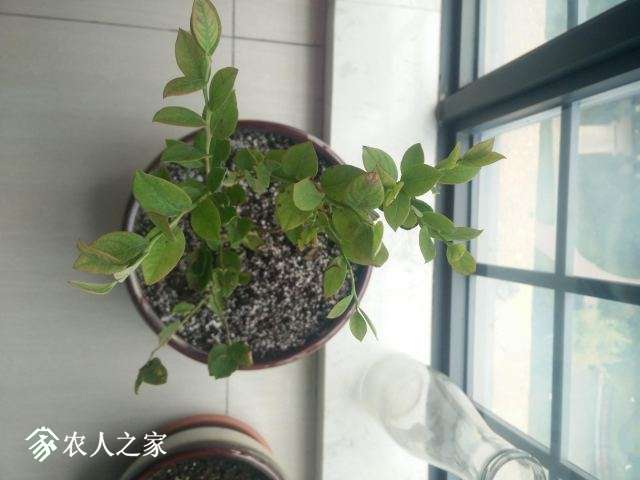 IMG20181001083905.jpg